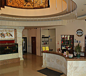 Гостиница Крон Отель Москва-147